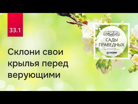 33.1 Склони свои крылья перед верующими. Вступление к главе 33. Часть 1-я | Сады праведных