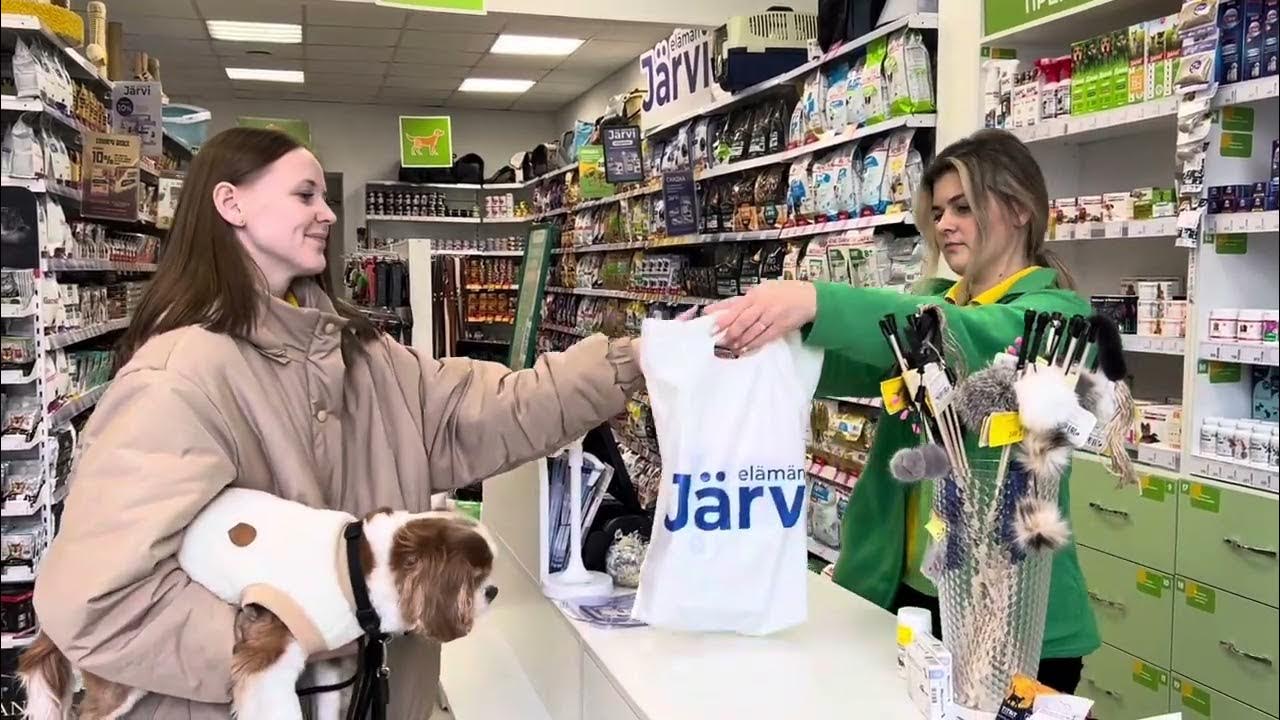 Чем я кормлю свою собаку. Корм Jarvi (Ярви) - YouTube