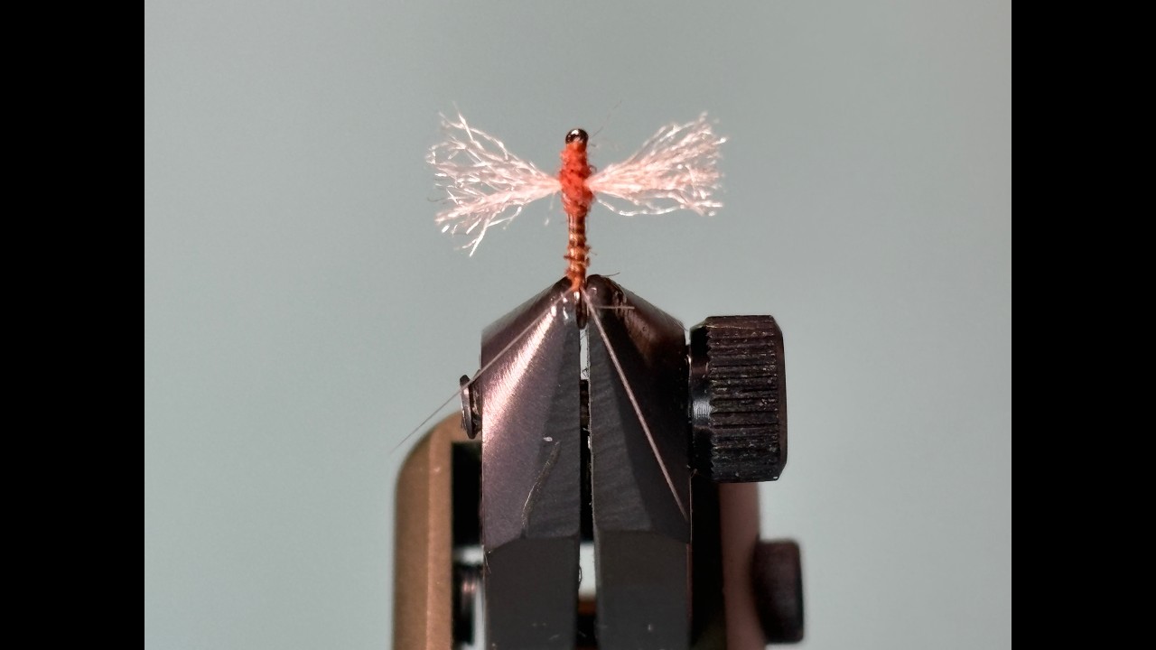 Fly Tying a Rusty Biot Mayfly Spinner