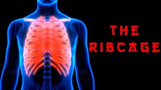 The Foundation of Movement: The Rib Cage