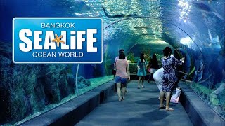 Sea Life Bangkok Ocean World is an aquarium in Bangkok, Thailand | Largest in South East Asia