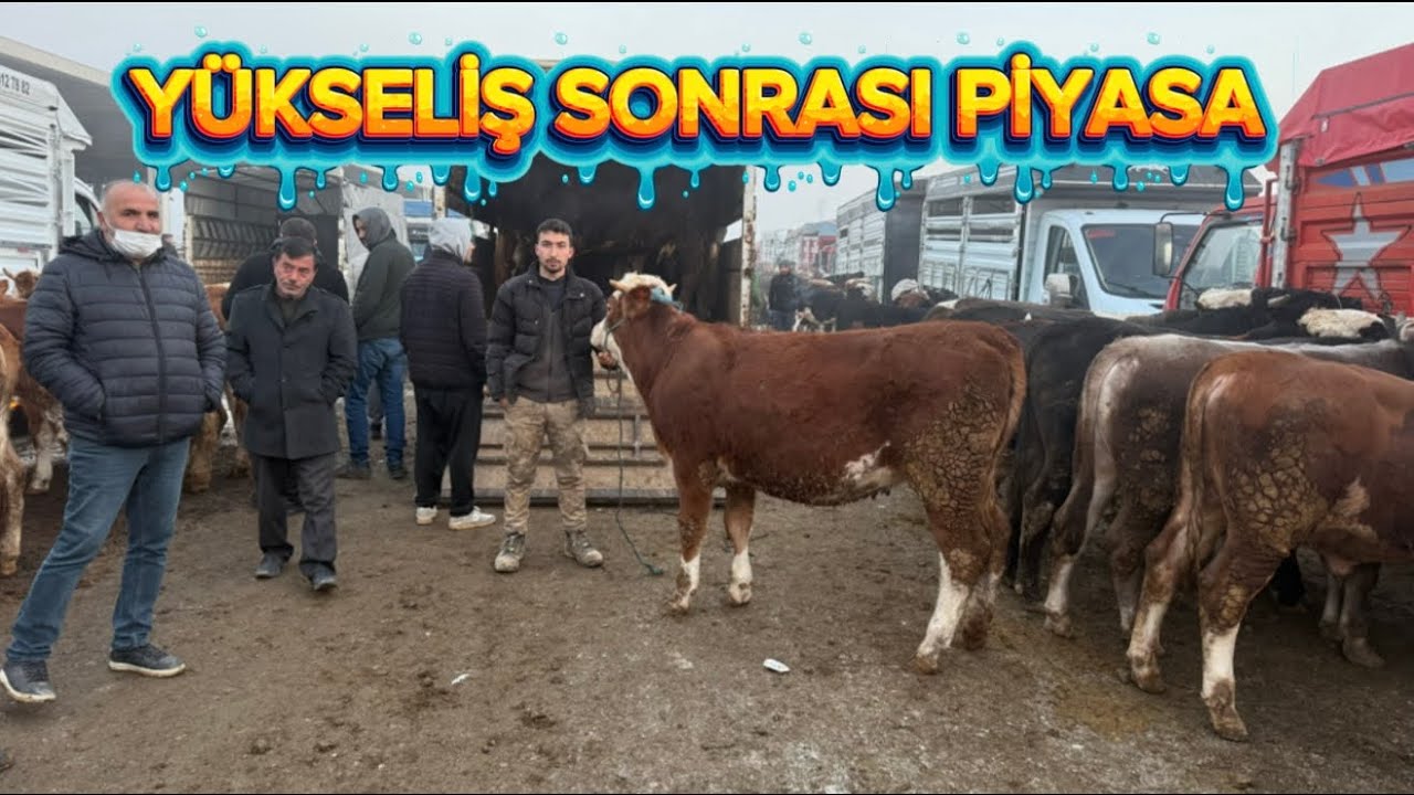 KIRIKKALE HAYVAN PAZARI AÇILDI 2 ARALIK GÜNCEL 