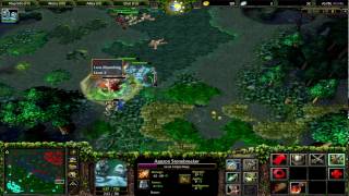 WarCraft III -Dota 6 78c