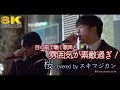 【 8K 】目の前で聴く歌声と雰囲気が素敵過ぎ! 桜 / コブクロ( covered by スキマジカン )8K映像