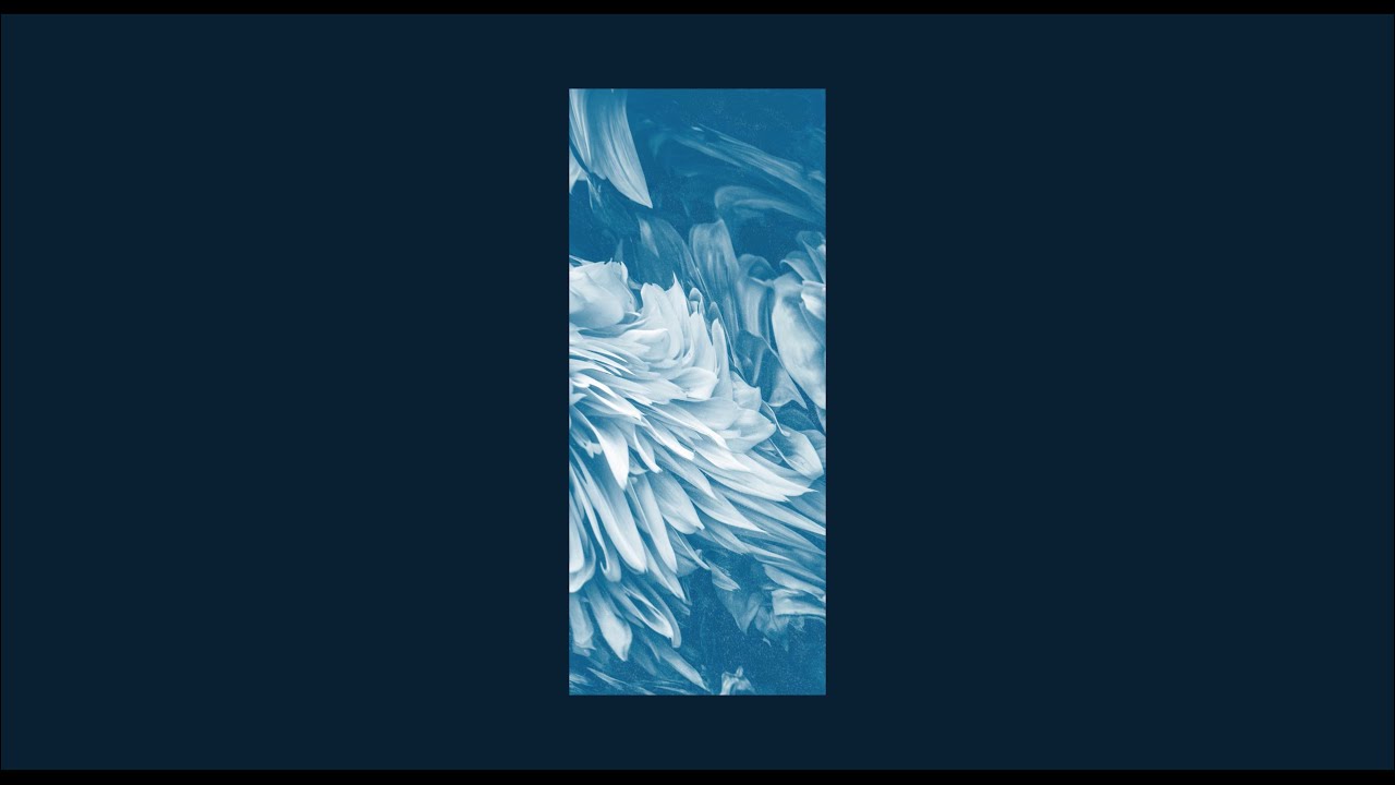 Watch Made Of Eyes - Honesty (New Single) on YouTube Watch Made Of Eyes - Honesty (New Single) on YouTube