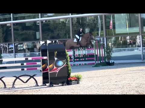 Blues 140 CSI2** Valkenswaard
