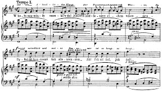 Mieczysław Karłowicz - Six Songs Op. 1 (Rappé, Poblocka)