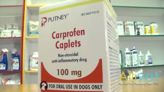 Carprofen Caplets for Dogs | Video | Allivet