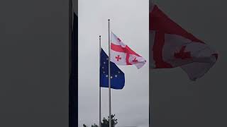 All international organizations are traps offered by the system, a shark that eats small fish...