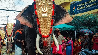 ചേട്ടാ ആ കുട ഒന്ന് തരുമോ 🌧️☂️🐘 &quot; അമ്പാടി മാധവൻകുട്ടി ആന 🐘😍❤️ Ambady Madhavankutty | Kerala Elephants