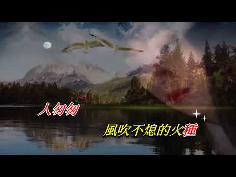 與淚抱擁   陳慧嫻〈Live 演唱版〉