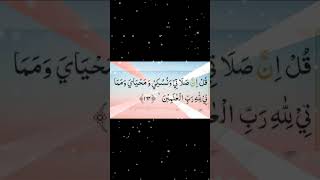 Surah Al Anam Ayat 162