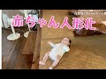 沖縄お気に入りスポットへ。2ヶ月赤ちゃんと猫とはじめてのおでかけ。