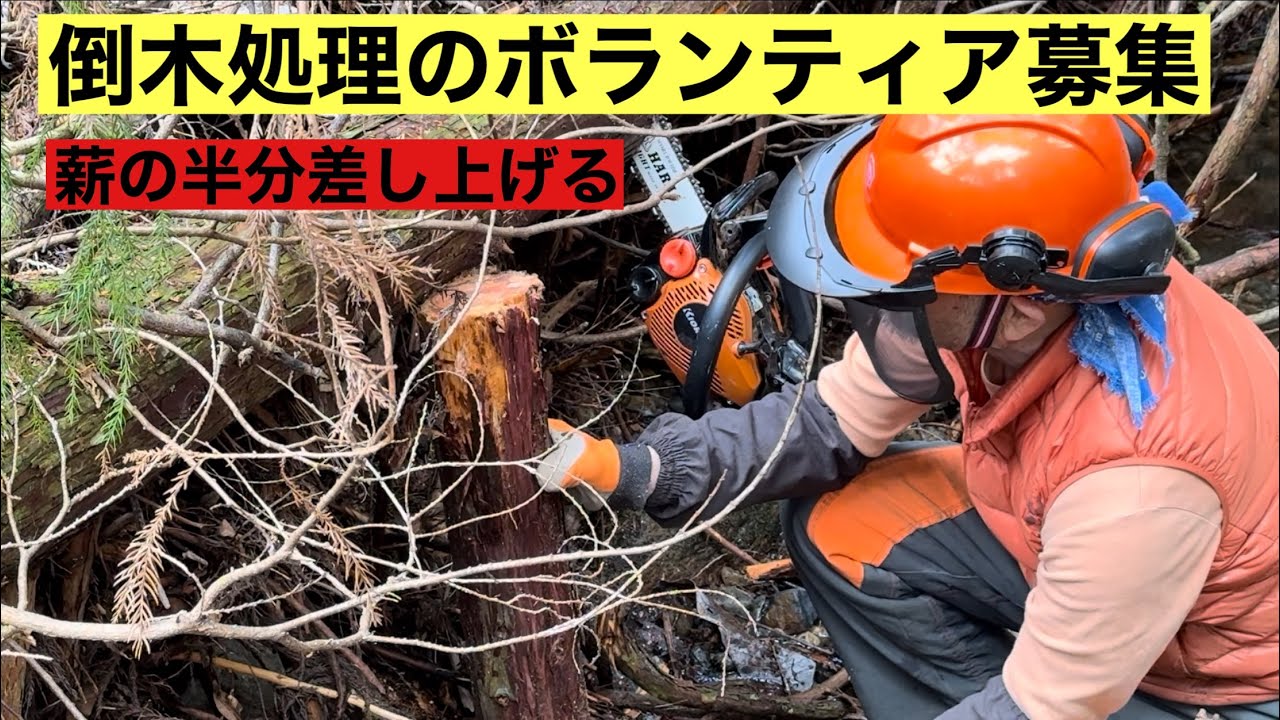田舎暮らしの日常　￼￼倒木処理のボランティア募集しています　お礼に薪の半分差し上げています　飛騨の山奥での生活