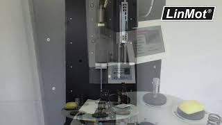 FourDynamic Modul FM10
