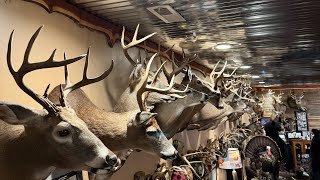 Chasing the Alabama Whitetail Deer Public-land Rut! Fifth and Final W.M.A. of the Season!