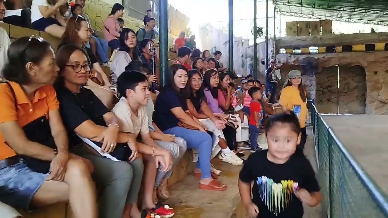 My Last zoobic safari animal show 