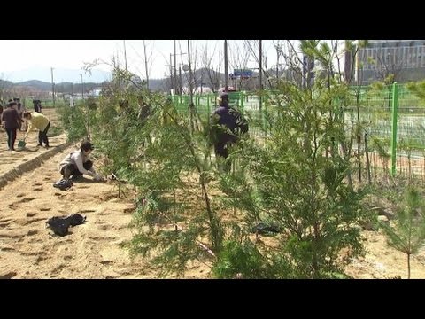 온난화 반영 못한 식목일…3월 중순이 적기 / YTN 사이언스