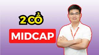2 CỔ PHIẾU MIDCAP