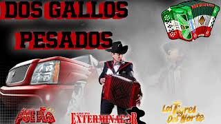 Puros Corridos ☆💥☆Grupo Exterminador 🆚 Los Tigres Del Norte