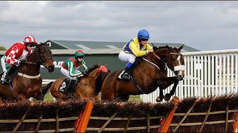 【PLUMPTON】UK HORSE RACE ANALYSIS - CHECK OUT ONE OF THE BEST ☆☆☆ TOO!!