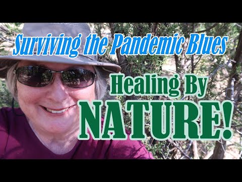 Pandemic Survival - Nature Heals