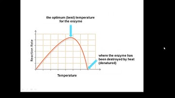 BTEC Applied Science: Unit 3 Enzymes 3
