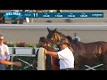 Lahaina Flavor wins race 11 at Del Mar 9/10/23.
