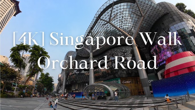 Orchard Road, Orchard Road Singapore Tour Packages, Photos, Videos, How to  Reach