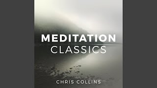 Inner Light - Chris Collins