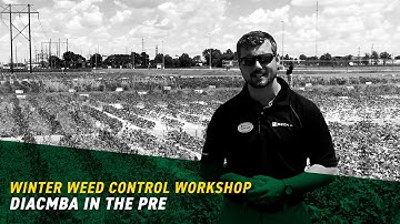 Dicamba in the Pre | Beck