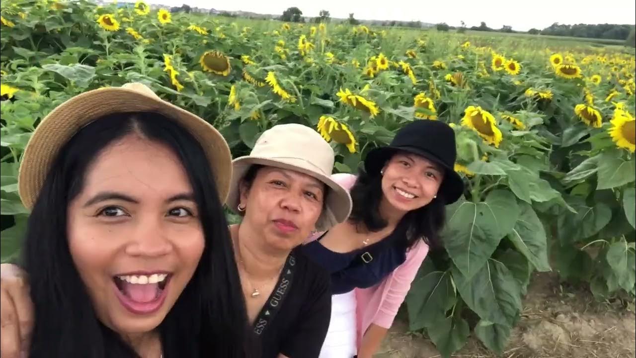 Sunflower Farm Photo Ideas
