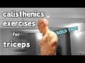 8 Calisthenics Triceps Exercises | Workout Your Arms At Home!