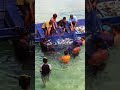Alhamdulillah hasil menjaring hari ini lumayan || bisa untuk di bagi bagi