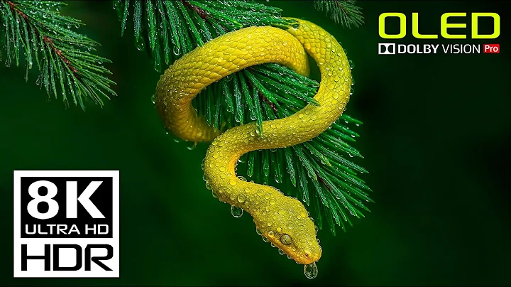 Amazing Costa Rica in ULTRA HD Dolby Vision 8K HDR 60 FPS (8K Video)