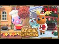 Animal Crossing - Christmas Update! - 🔴 Live
