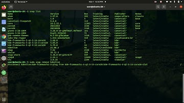 how to remove software in ubuntu using terminal |  snap linux command  |  snap package manager
