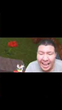 Story Wa 30 Detik Meme Windah Basudara Main Minecraft Terbaru