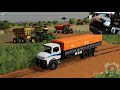 COLHEITA DO MILHO COM 4 COLHEITADEIRAS E 2 BAZUCAS - FARMING 19 ONLINE