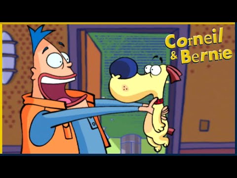 Avis de recherche | Corneil & Bernie | 35' Compilation