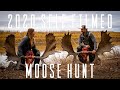 2 Giant Alaskan Bull Moose – A Self-Filmed Weatherby Hunt
