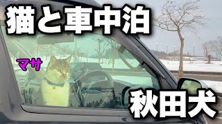 Winter car camping trip with a catHometown of the faithful dog Hachiko