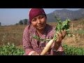 Local voices organic farming