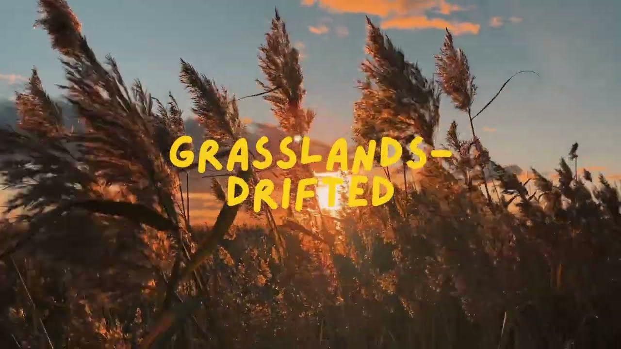 Watch Grasslands Music Lyric Video on YouTube Watch Grasslands Music Lyric Video on YouTube