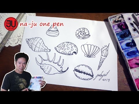 วีดีโอ: วิธีการวาดเปลือกหอย