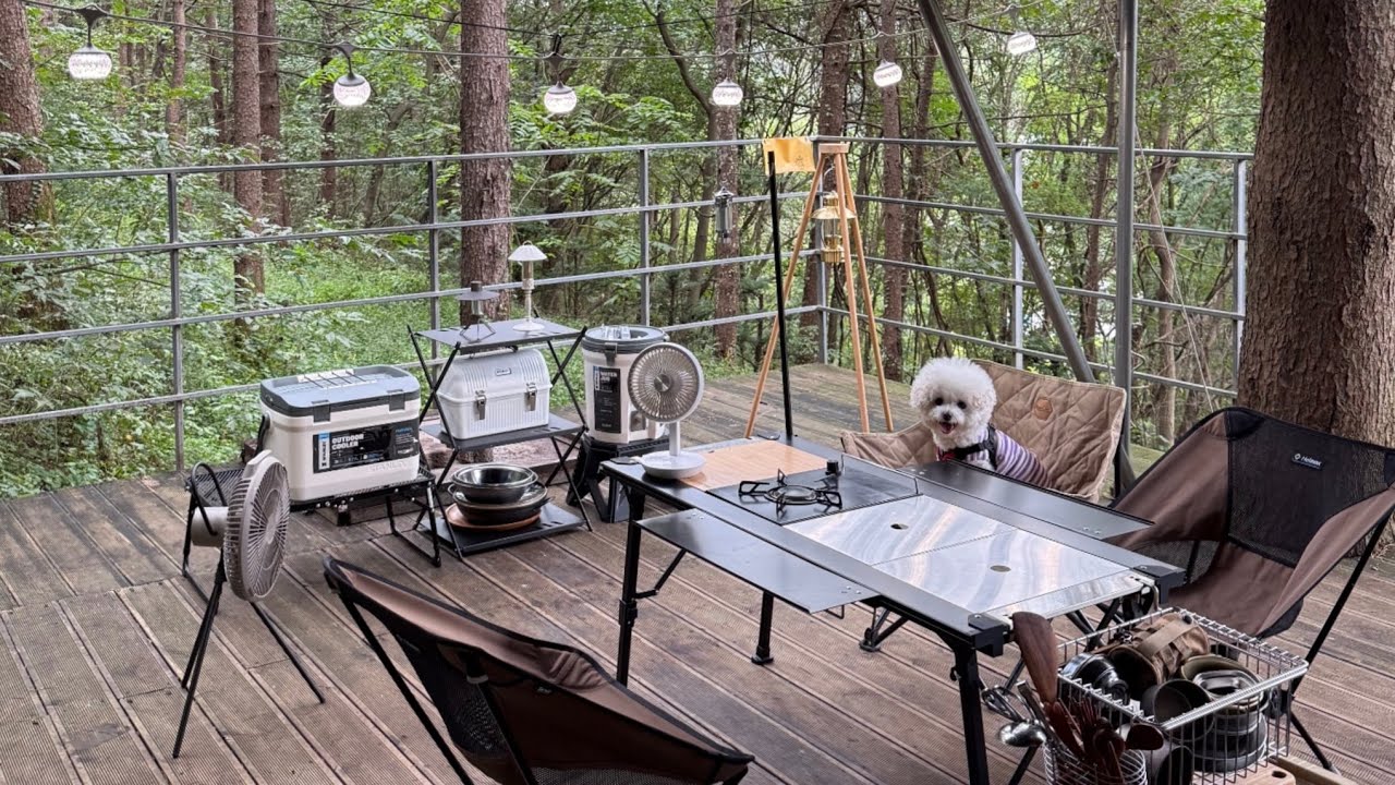 VLOG | 🌿숲속 프라이빗한 곳에서 힐링가득한 캠핑 | 애견동반캠핑장 | 나무새캠핑장