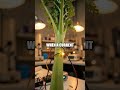 The Quiet Currents of Green Bioelectricity