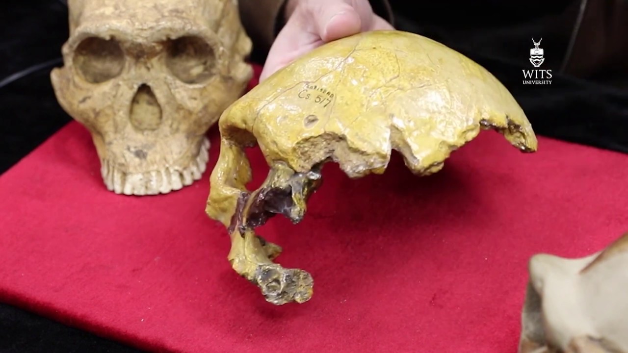 The muddle in the Middle Pleistocene