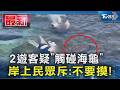 2遊客疑「觸碰海龜」  岸上民眾斥:不要摸!