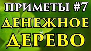 Приметы и суеверия о Денежном дереве 🍀 - Маг Fose Приметы и суеверия о Денежном дереве 🍀 - Маг Fose